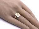 9ct Yellow Gold Patterned Signet Ring