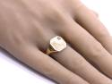 9ct Yellow Gold Diamond Signet Ring