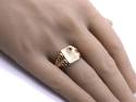 9ct Yellow Gold Garnet Signet Ring