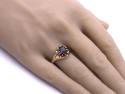 9ct Yellow Gold Garnet Solitaire Ring