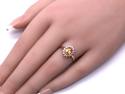 9ct Orange Garnet & Zircon Halo Ring