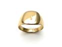 9ct Yellow Gold Plain Signet Ring