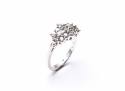 9ct White Gold Diamond Cluster Ring 1.00ct