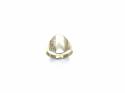 9ct Yellow Gold Patterned Signet Ring