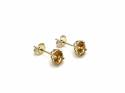 9ct Yellow Gold Citrine Stud Earrings