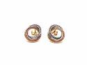 9ct 2 Colour CZ Round Stud Earrings
