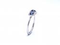 Platinum Sapphire & Diamond 3 Stone Ring