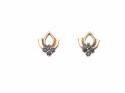 9ct Fancy Sapphire Stud Earrings