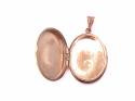 9ct Yellow Gold Locket 35x27mm