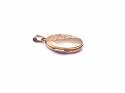 9ct Yellow Gold Locket 20x16mm