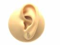 9ct Yellow Gold Hamsa Stud Earrings 7mm