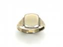 9ct Yellow Gold Signet Ring