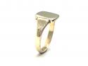 9ct Yellow Gold Signet Ring