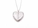 Silver Angel Wing Locket And Chain 20 Inch