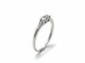 9ct White Gold Diamond 2 Stone Ring