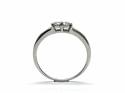 9ct White Gold Diamond 2 Stone Ring