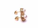 9ct Yellow Gold Pearl Stud Earrings