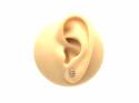 9ct Yellow Gold Bear Stud Earrings