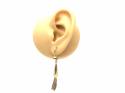 9ct Drop Tassle Hook Earrings