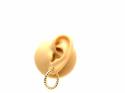 9ct Yellow Gold Hoop Earrings 22mm