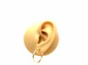 9ct Yellow Gold Hoop Earrings 20mm