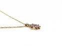 9ct Multi Topaz Pendant & Chain