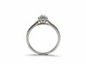 9ct White Gold Diamond Halo Ring 0.25ct