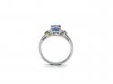 9ct White Gold Tanzaite & Diamond Ring
