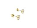 9ct Yellow Gold CZ Stud Earrings 6mm