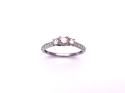 9ct White Gold Diamond 3 Stone Ring