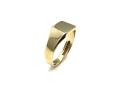 9ct Yellow Gold Rectangle Signet Ring