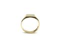 9ct Yellow Gold Rectangle Signet Ring