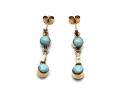 9ct Reversible Amber & Agate Earrings