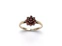 9ct Yellow Gold Garnet Cluster Ring