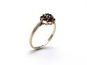 9ct Yellow Gold Garnet Cluster Ring