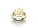 9ct Yellow Gold Plain Signet Ring