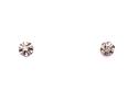 14ct White Gold Diamond Stud Earrings
