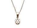 9ct Diamond Cluster Pendant & Chain
