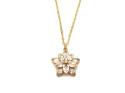 Silver Gold Plated CZ Flower Pendant & Chain