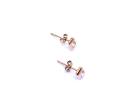 9ct Yellow Gold CZ Stud Earrings