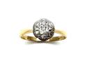 14ct & Platinum Diamond Cluster Ring