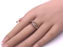 9ct Diamond 3 Colour Crossover Ring