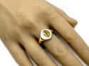 9ct Yellow Gold Patterned Signet Ring