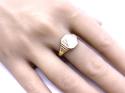 9ct Yellow Gold Signet Ring