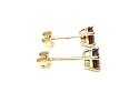 9ct Yellow Gold Garnet Stud Earrings 5mm