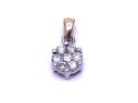 9ct Yellow & White Gold Diamond Pendant