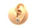 18ct Aquamarine and Diamond Cluster Earrings0.25ct