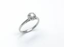 18ct White Gold Diamond Halo Ring