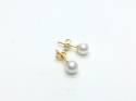 9ct White Freshwater Cultured Pearl Studs 5-5.5mm