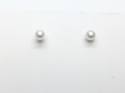 9ct White Freshwater Cultured Pearl Studs 5-5.5mm